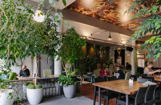 Tuatara Lodge インバーカーギル エクステリア 写真